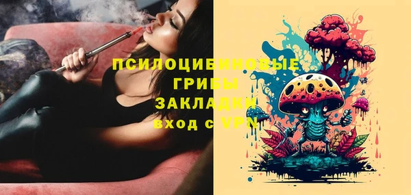 мдпв Зеленодольск