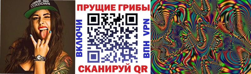 Купить  Кирово-Чепецк  Галлюциногенные грибы MAGIC MUSHROOMS 